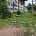 В д. Ретюнь выполнены работы по покосу травы придомовой территории
