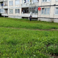 В п. Красный Маяк выполнены работы по покосу травы придомовой территории